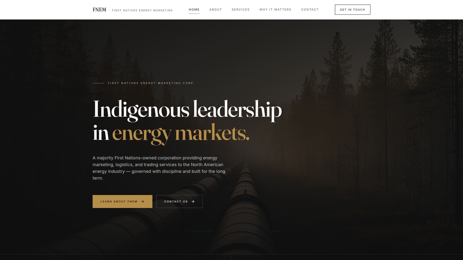 FNEM Platform